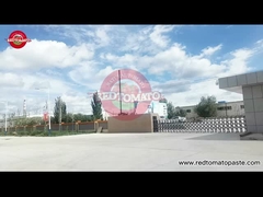 붉은 토마토 식품