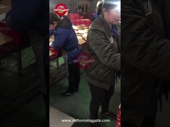 토마토 캔 페이스트 품질 관리 라인