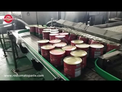 마카오 캔 토마토 페이스트