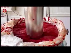 돋보이는 토마토 페이스트